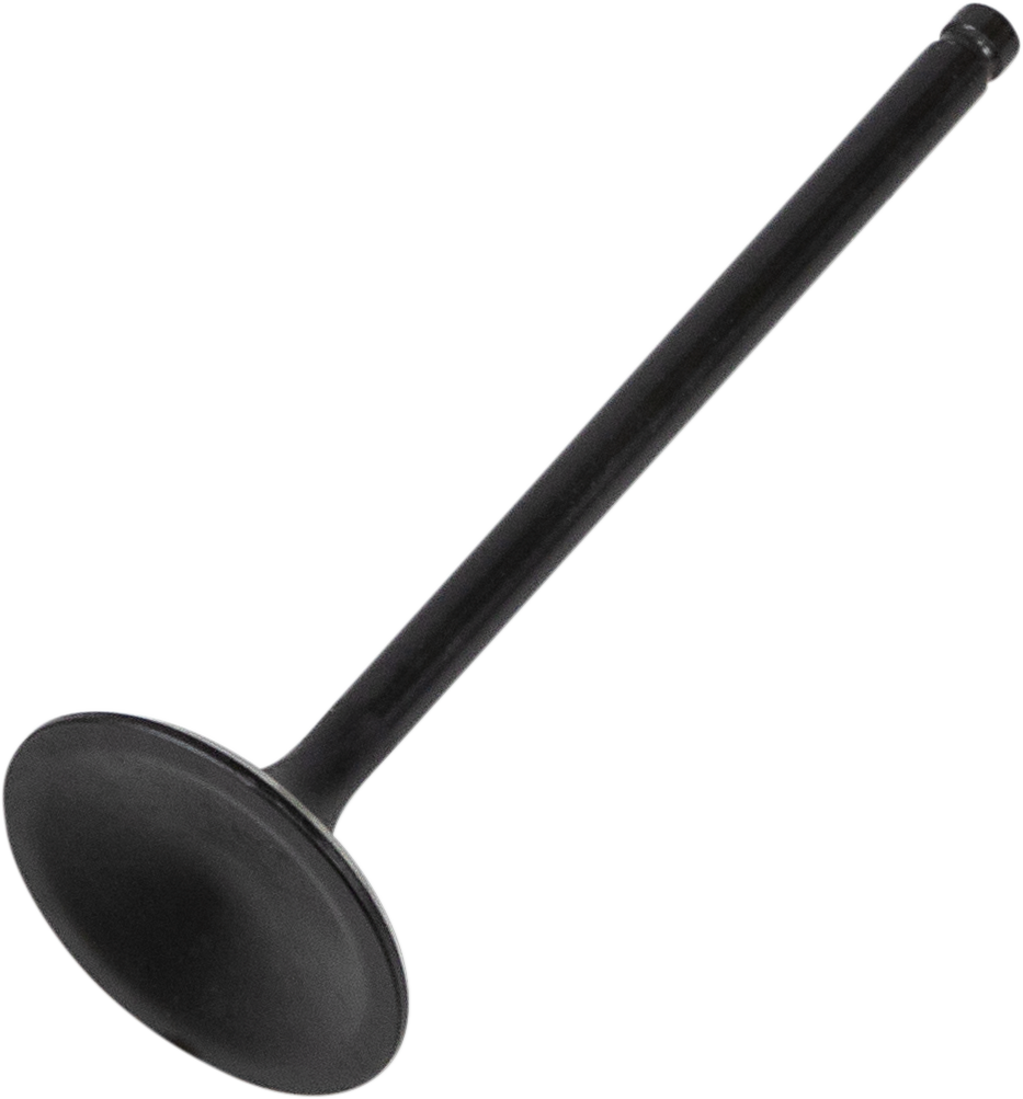 Intake Valve