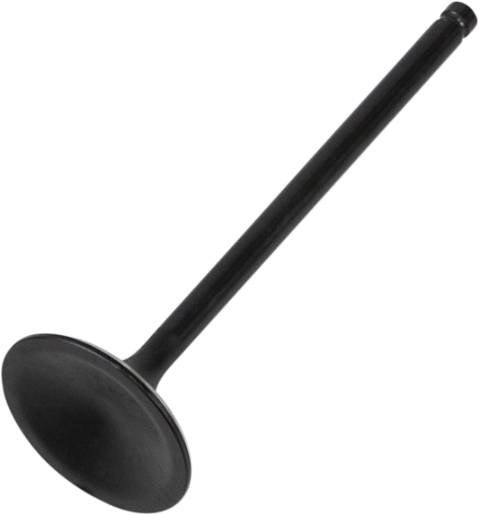 Intake Valve