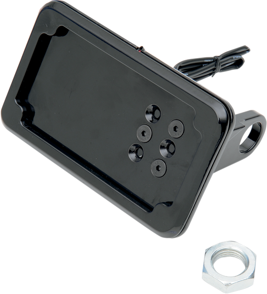 Horizontal License Plate Mount with Light - '08-'17 ST - Black