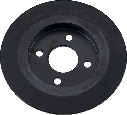 Rear Brake Rotor - 13-17 - Trike