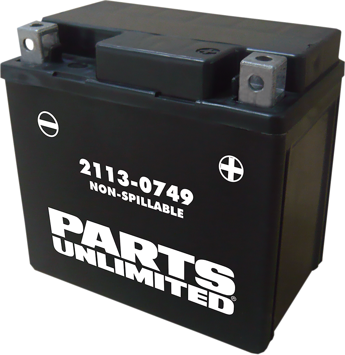 AGM Battery - YTX5L