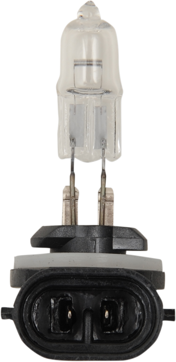 Halogen Bulb - 886 - 50W