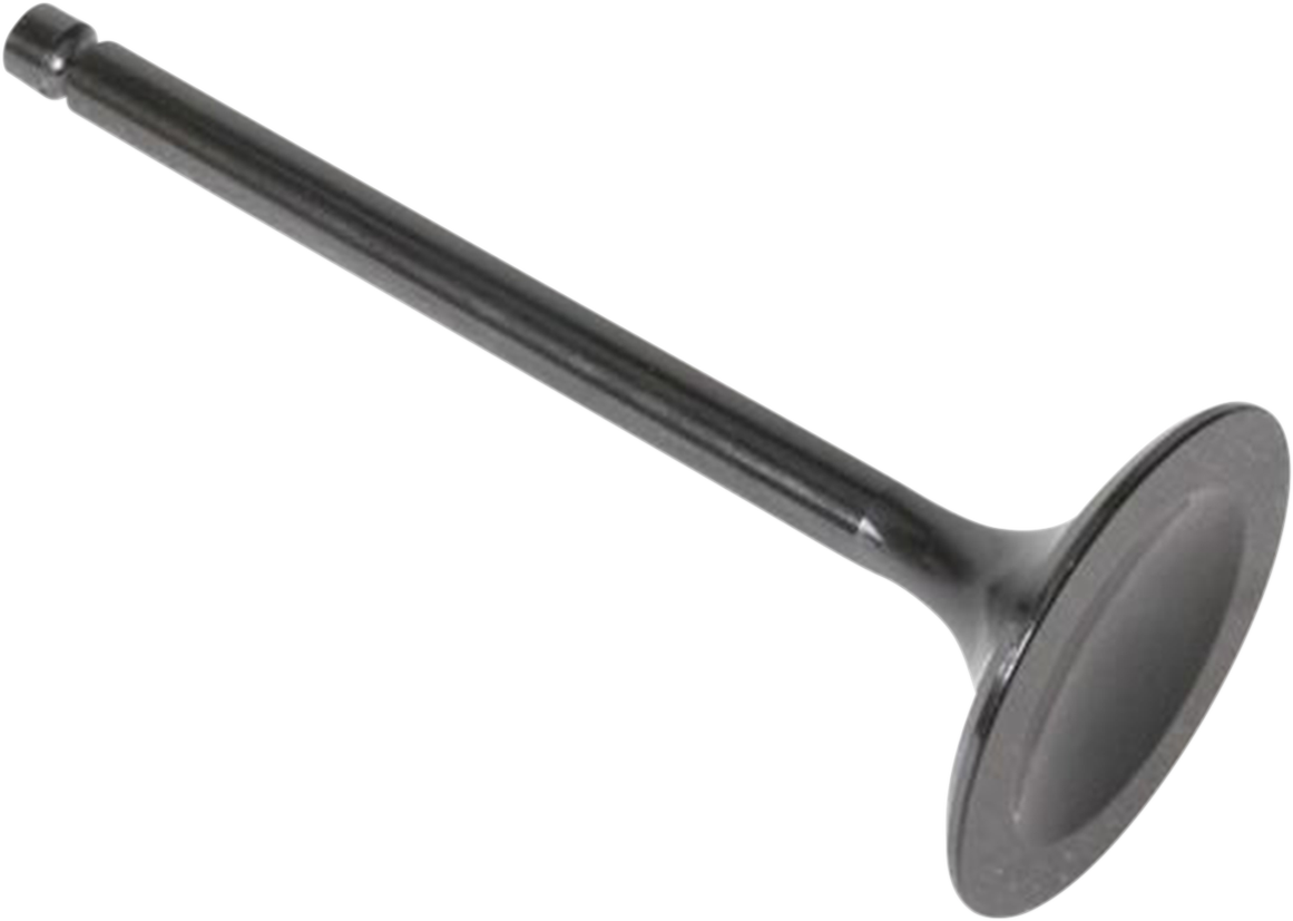Intake Valve
