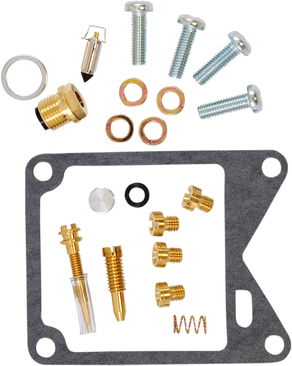 Carburetor Repair Kits