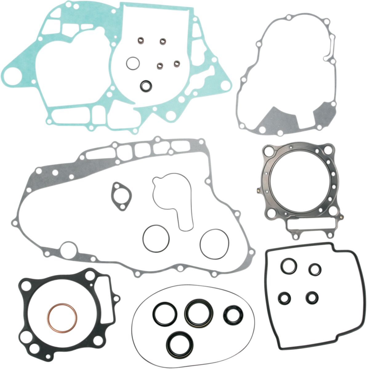 Motor Gasket Kit with Seal - TRX450R