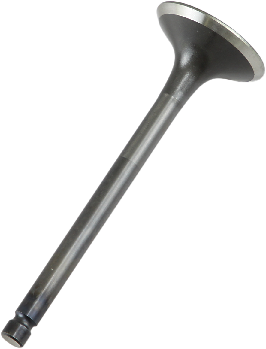 Exhaust Valve