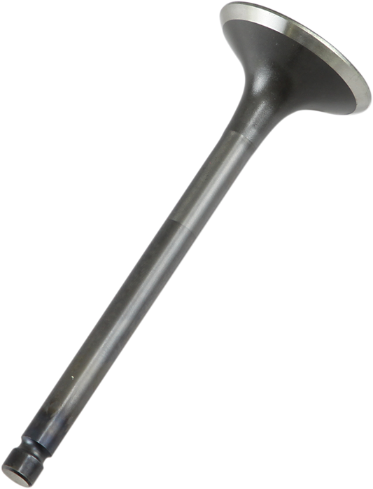 Exhaust Valve