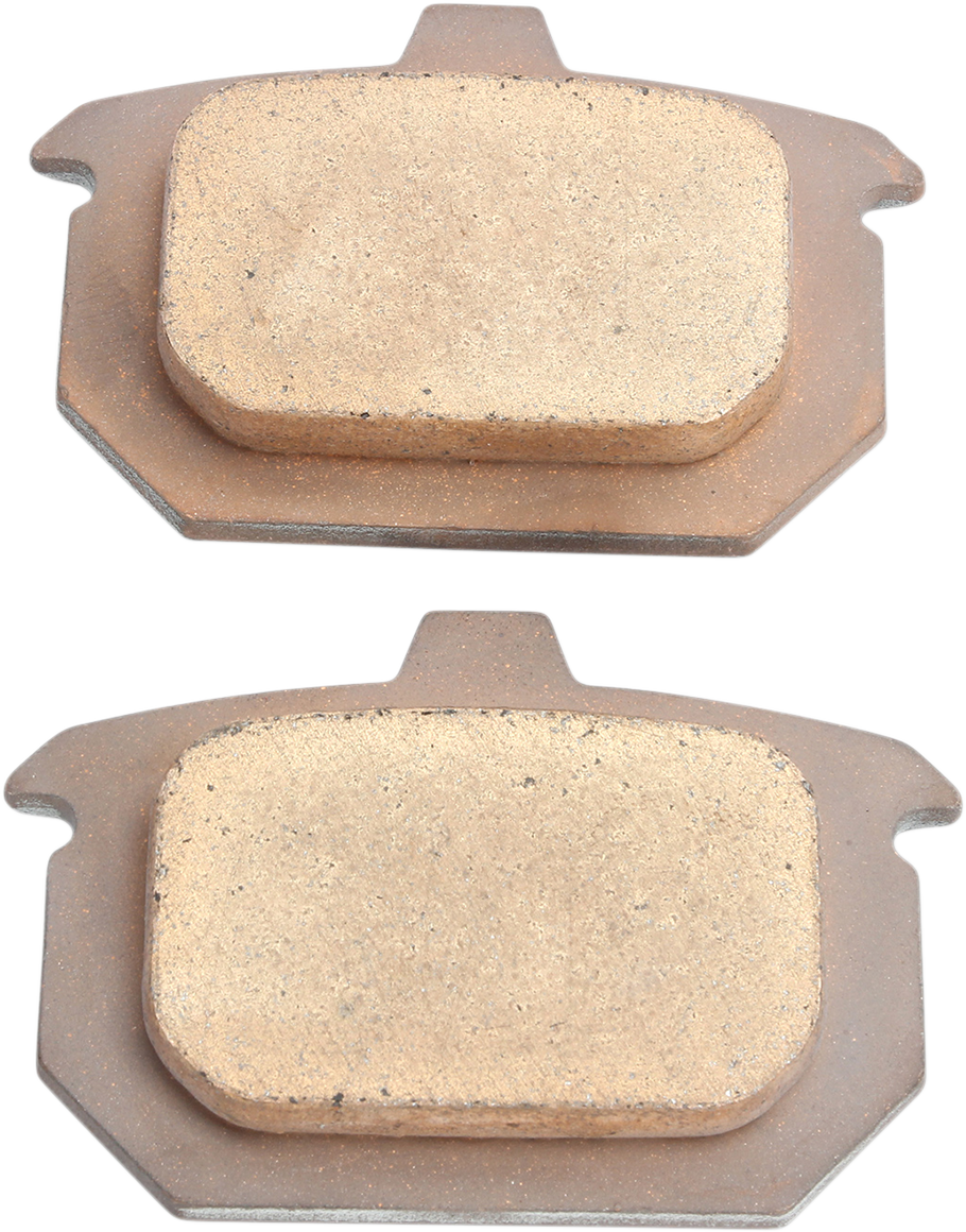 Sintered Brake Pads - Harley-Davidson