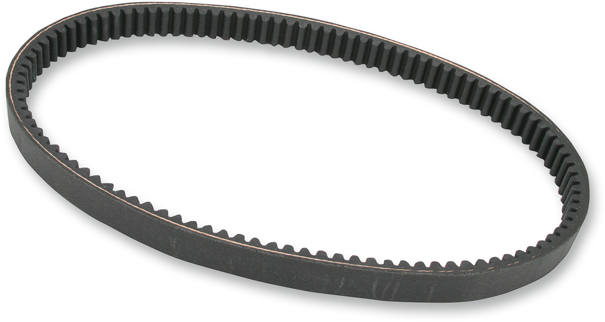 Performer Series Belt
