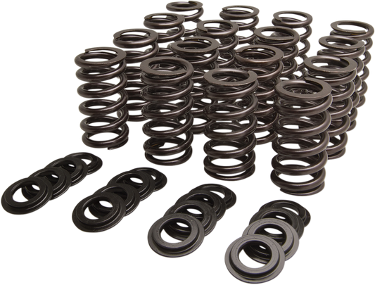 Beehive Valve Spring Kit