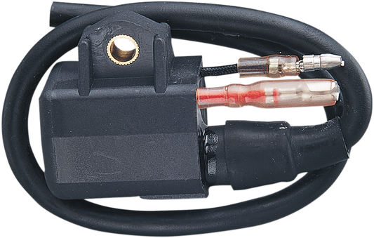 External Ignition Coil - Polaris