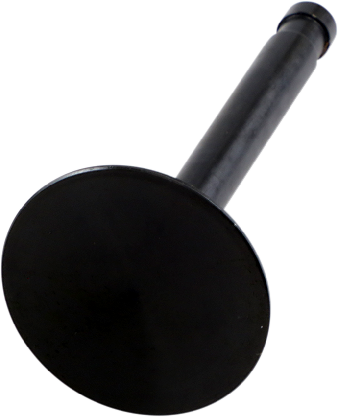 Intake Valve - Big Twin183604384