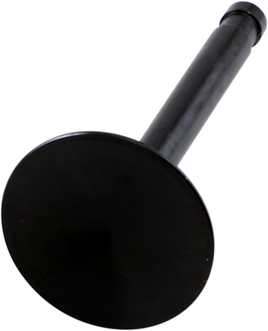 Intake Valve - Big Twin183604384