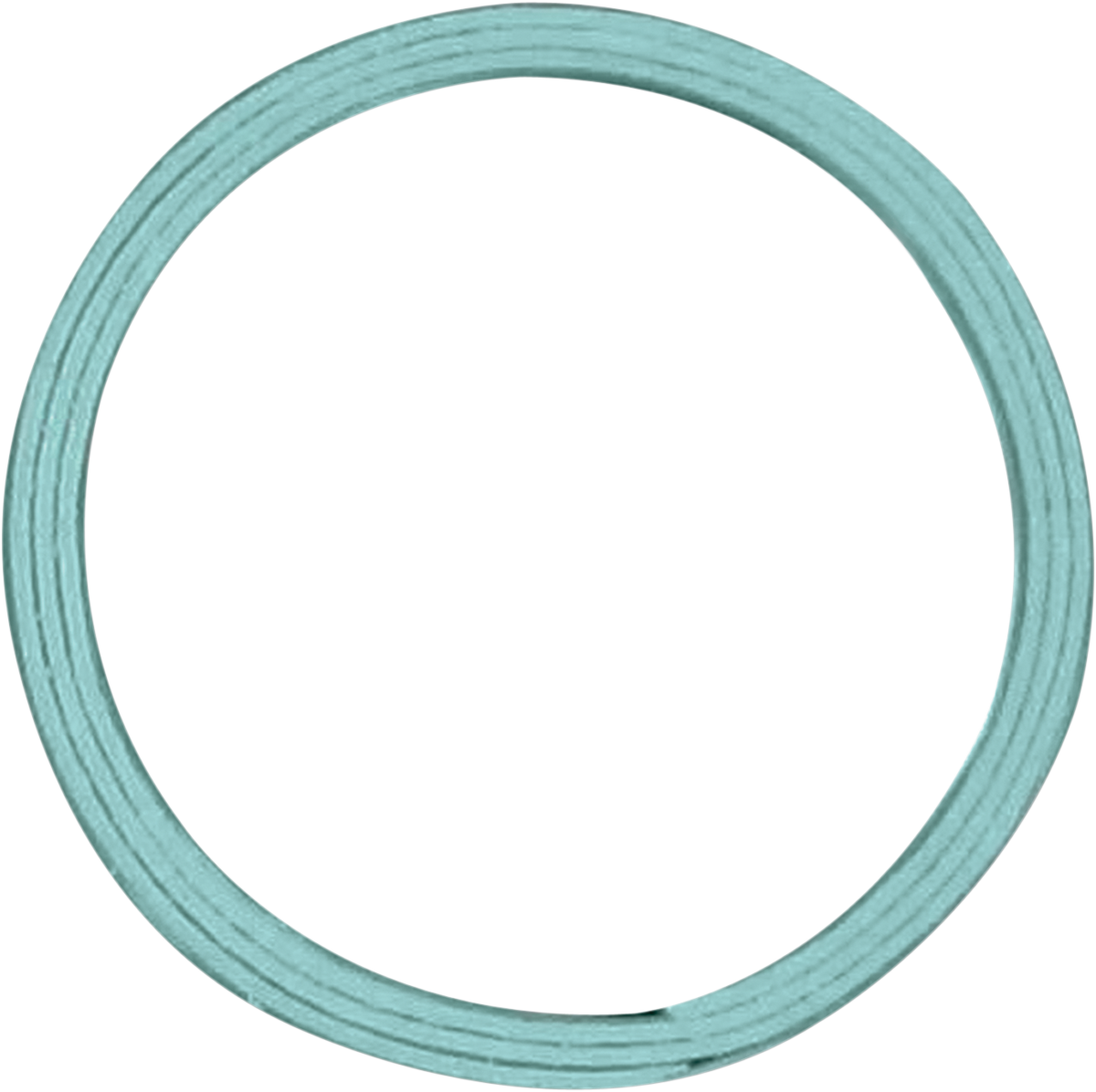 Exhaust Gasket