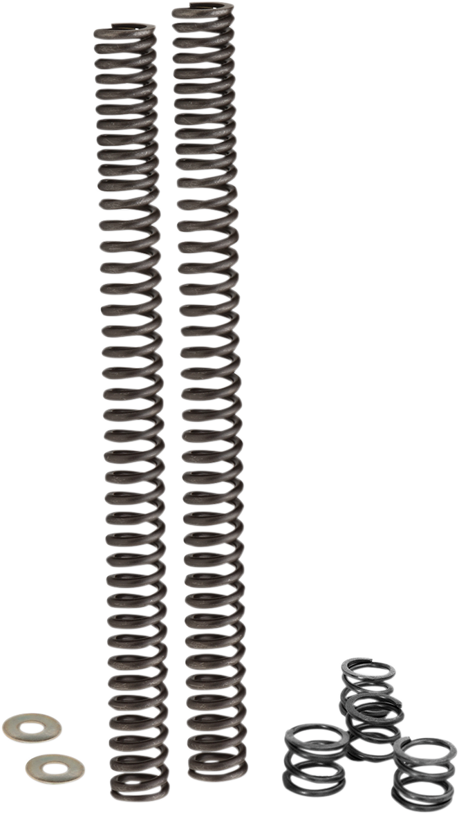 Fork Lowering Springs - '17-'19 FLH
