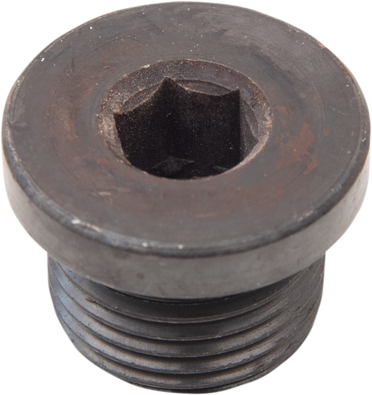 Hex Socket Plug - 18mm x 1.5mm