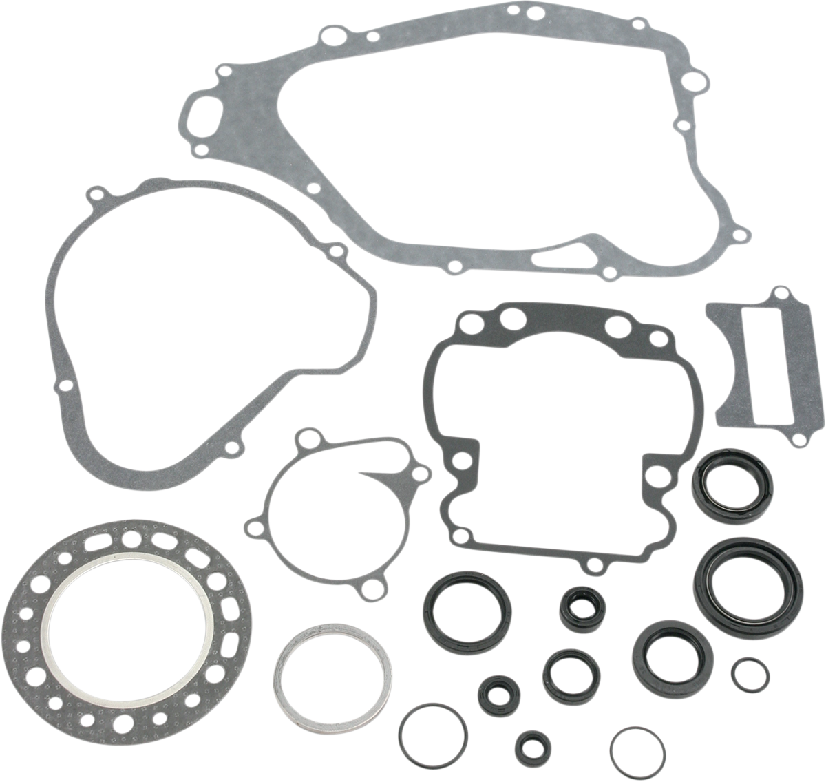 Motor Gasket Kit with Seal - LT250R