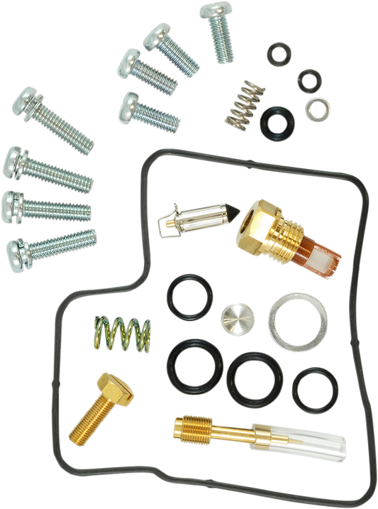 Economy Carburetor Repair Kit