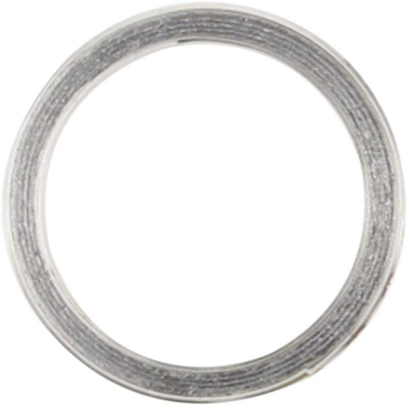 Exhaust Gasket