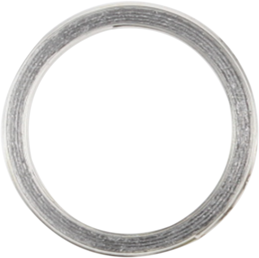 Exhaust Gasket